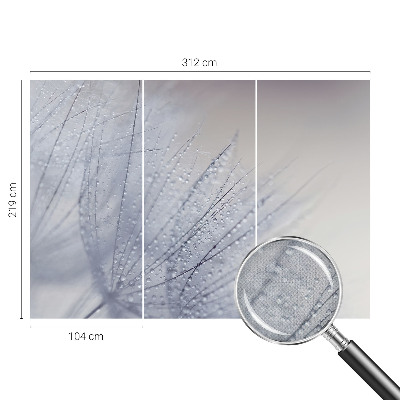 Fototapeta pre dievča Rosná púpava