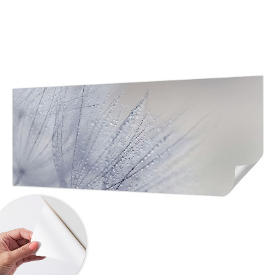 Fototapeta pre dievča Rosná púpava