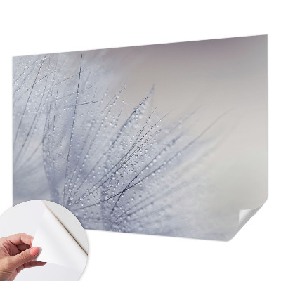 Fototapeta pre dievča Rosná púpava