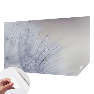 Fototapeta pre dievča Rosná púpava