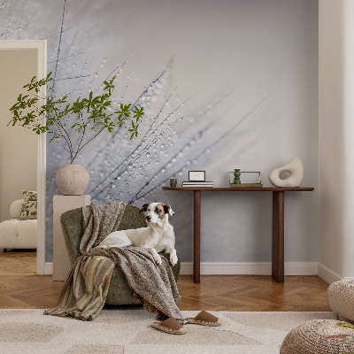 Fototapeta pre dievča Rosná púpava