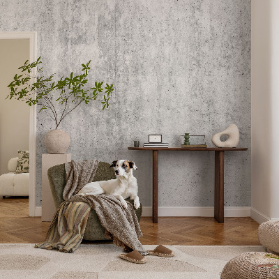 Moderná tapeta na stenu Betónová stena