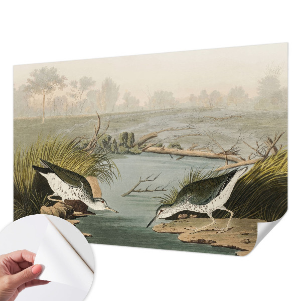 Tapeta do obývačky Pokojná krajina