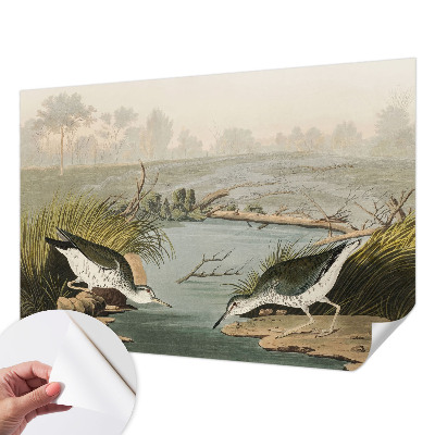 Tapeta do obývačky Pokojná krajina