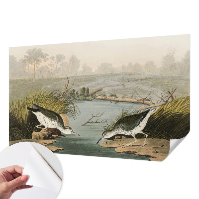 Tapeta do obývačky Pokojná krajina