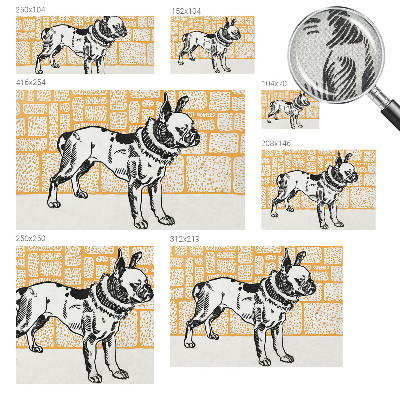 Fotografická tapeta do detskej izby Retro pes