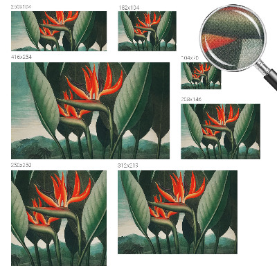 Samolepiaca fototapeta Exotické kvety