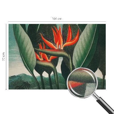 Samolepiaca fototapeta Exotické kvety