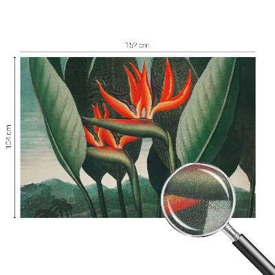 Samolepiaca fototapeta Exotické kvety