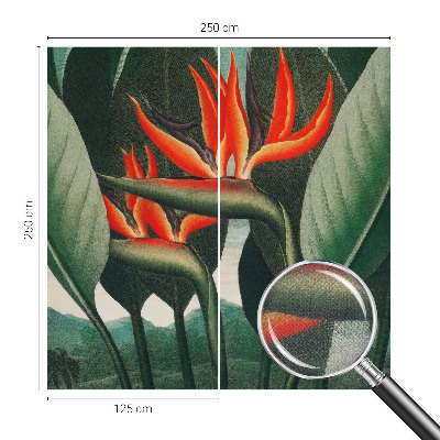 Samolepiaca fototapeta Exotické kvety