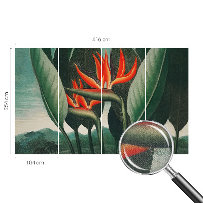 Samolepiaca fototapeta Exotické kvety