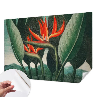 Samolepiaca fototapeta Exotické kvety