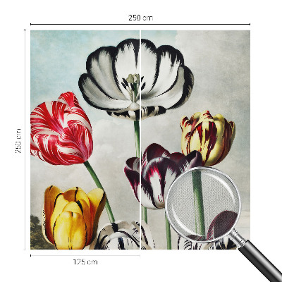 Tapeta do obývačky Farebné tulipány