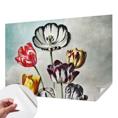 Tapeta do obývačky Farebné tulipány