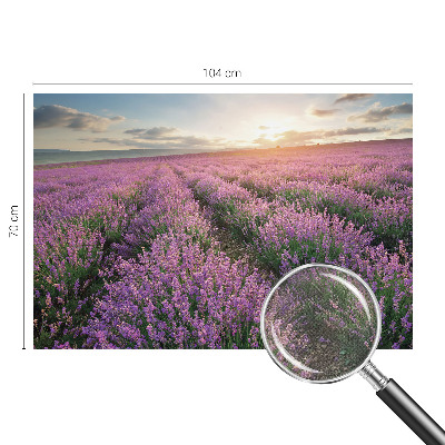 Tapeta do detskej izby Levanduľové polia