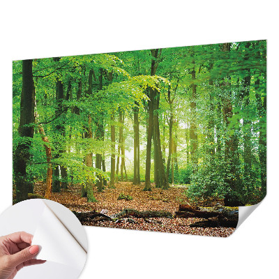Fototapeta pre chlapca so vzorom zeleného lesa