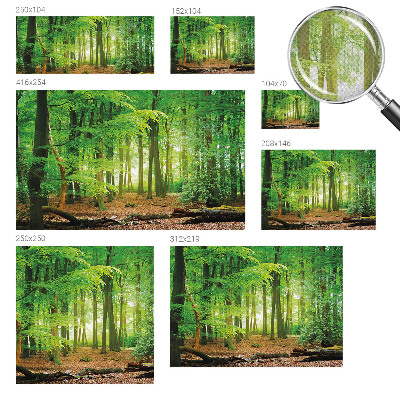 Fototapeta pre chlapca Zelený les