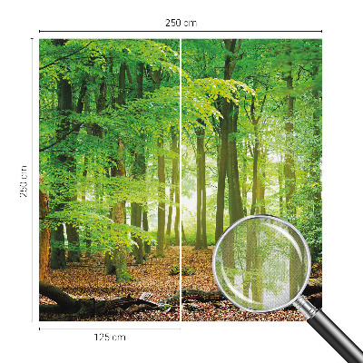 Fototapeta pre chlapca Zelený les