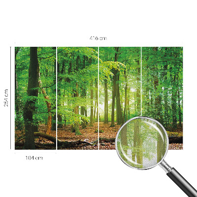 Fototapeta pre chlapca Zelený les