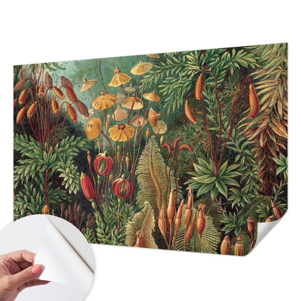 Moderná tapeta na stenu Exotická záhrada