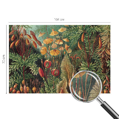 Moderná tapeta na stenu Exotická záhrada