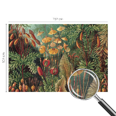 Moderná tapeta na stenu Exotická záhrada