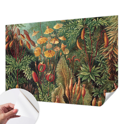 Moderná tapeta na stenu Exotická záhrada