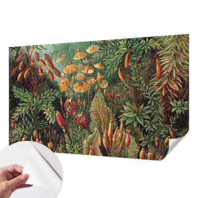 Moderná tapeta na stenu Exotická záhrada