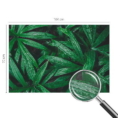 Tapeta do detskej izby Prírodná zeleň