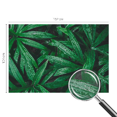 Tapeta do detskej izby Prírodná zeleň