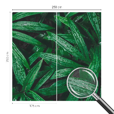 Tapeta do detskej izby Prírodná zeleň