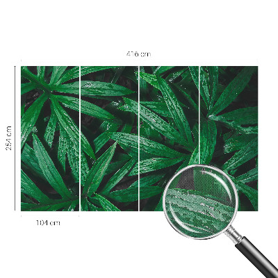 Tapeta do detskej izby Prírodná zeleň