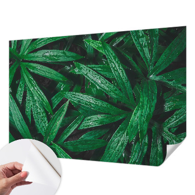 Tapeta do detskej izby Prírodná zeleň