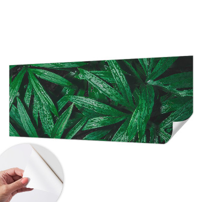 Tapeta do detskej izby Prírodná zeleň