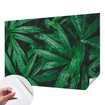 Tapeta do detskej izby Prírodná zeleň