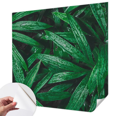 Tapeta do detskej izby Prírodná zeleň