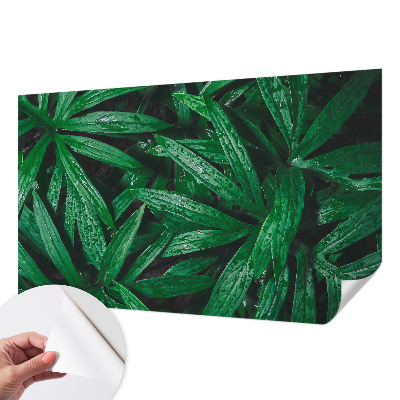 Tapeta do detskej izby Prírodná zeleň