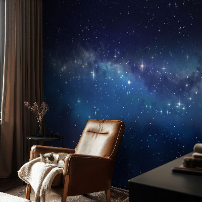 Samolepiaca fototapeta Hviezdna noc