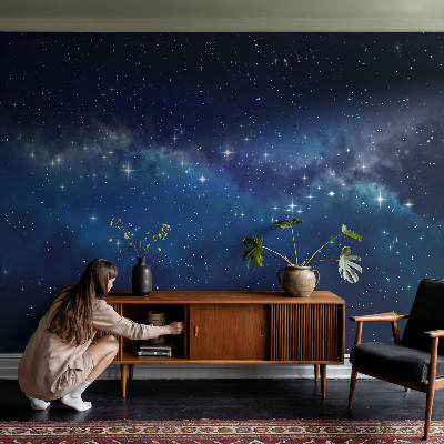 Samolepiaca fototapeta Hviezdna noc