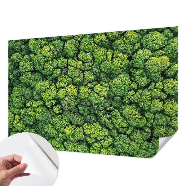 3D tapeta na stenu Lesná panoráma