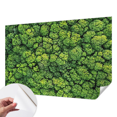 3D tapeta na stenu s motívom lesnej panorámy