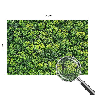 3D tapeta na stenu Lesná panoráma