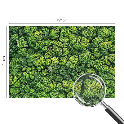 3D tapeta na stenu Lesná panoráma