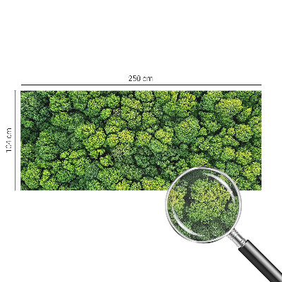 3D tapeta na stenu Lesná panoráma