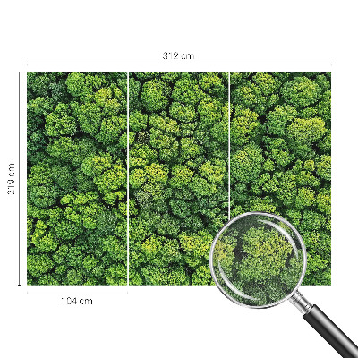 3D tapeta na stenu Lesná panoráma