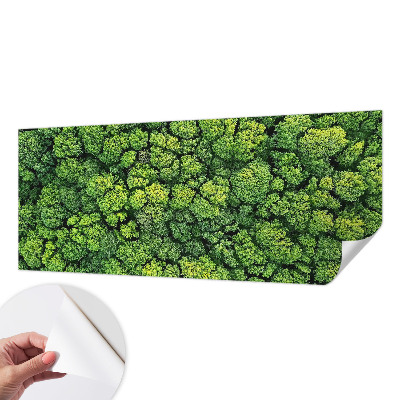 3D tapeta na stenu Lesná panoráma