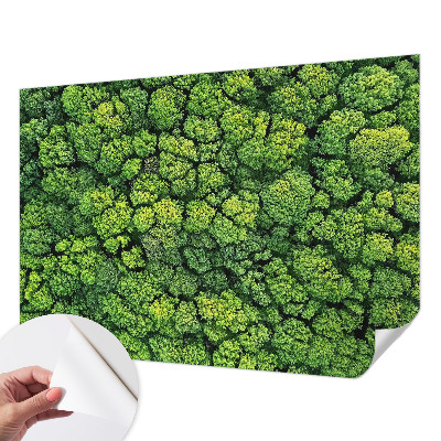 3D tapeta na stenu Lesná panoráma