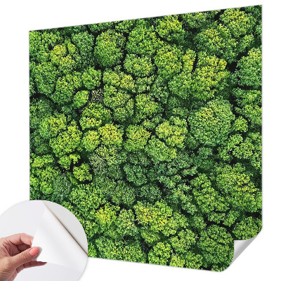 3D tapeta na stenu Lesná panoráma