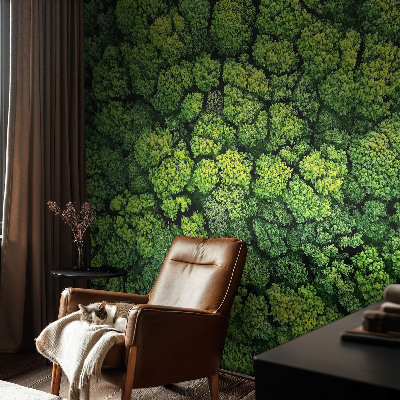 3D tapeta na stenu Lesná panoráma