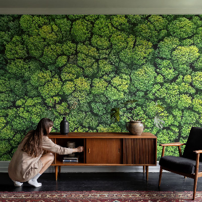 3D tapeta na stenu Lesná panoráma